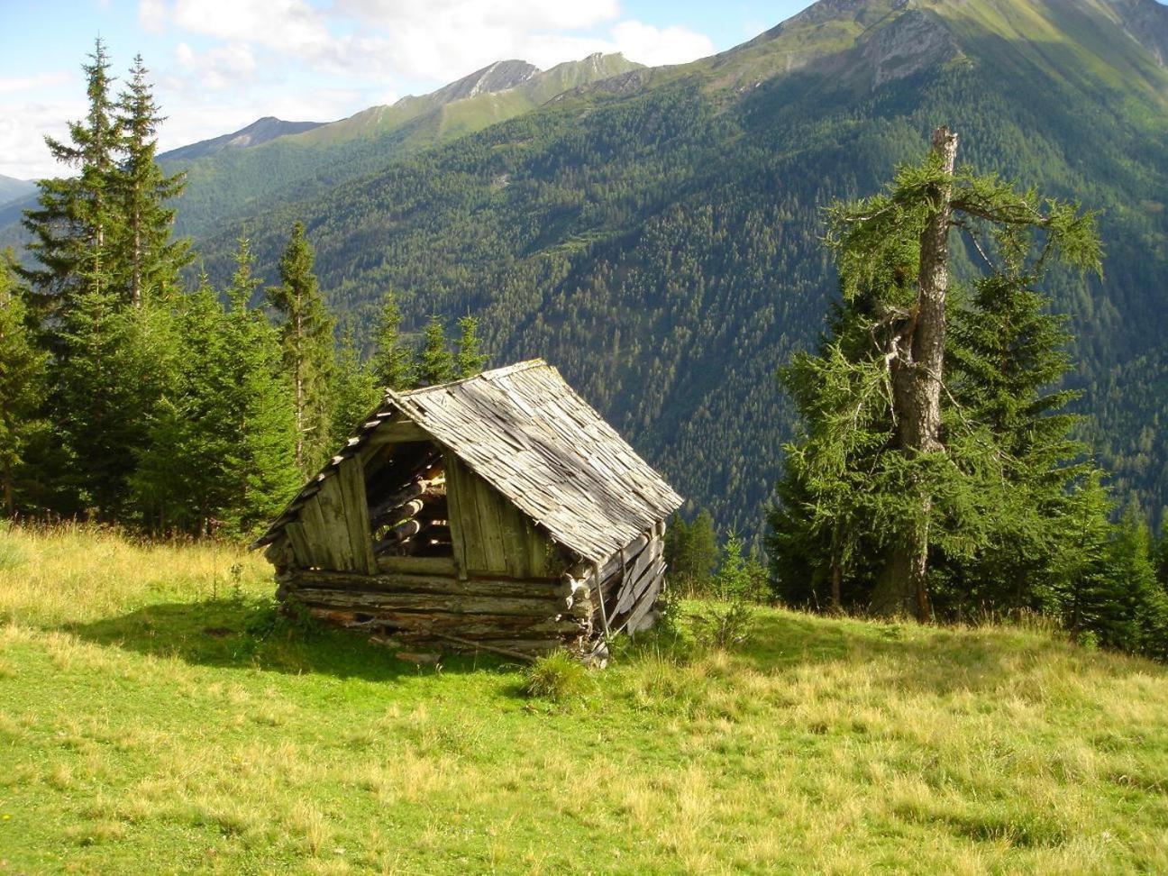 Gaestehaus Marianne Baier Zederhaus Dış mekan fotoğraf